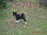 2010_04_04 152.jpg