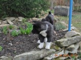 2010_04_04 163.jpg