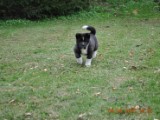2010_04_04 195.jpg