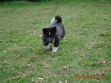 2010_04_04 196.jpg