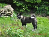 2010_05_24 007.jpg