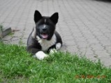 2010_05_24 084.jpg