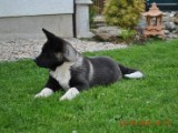 2010_05_24 142.jpg