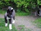 2010_05_24 479.jpg