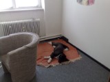 22062010283.jpg