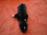 DSC_0032.JPG