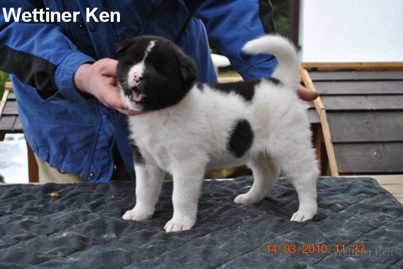 2010_03_14_Welpen 148