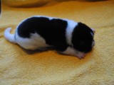 2009_10_05 055.jpg
