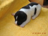 2009_10_05 063.jpg