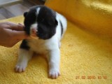 2009_10_05 069.jpg