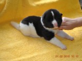2009_10_05 073.jpg