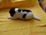 2009_10_05 078.jpg