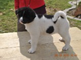 2010_03_28 281.jpg