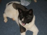 DSCF1124.JPG