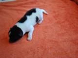 DSC_0041.JPG