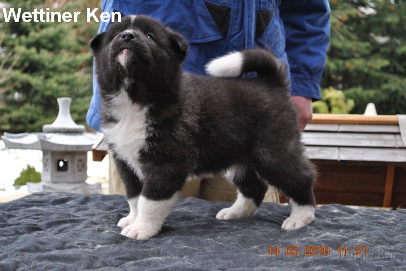 2010_03_14_Welpen 059