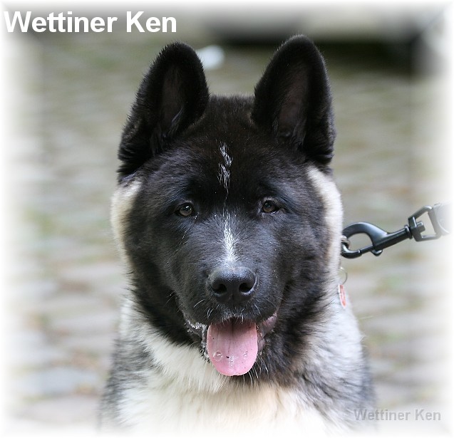 wildpark1