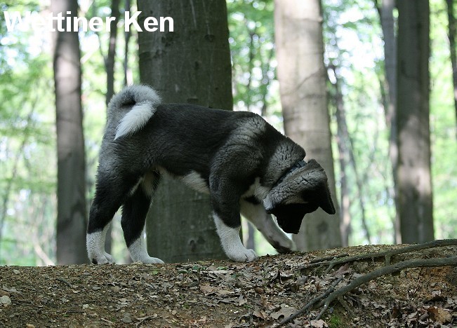 wildpark10