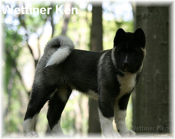 wildpark7