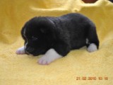 2009_10_05 129.jpg