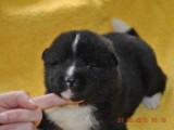 2009_10_05 134.jpg