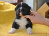 2009_10_05 140.jpg