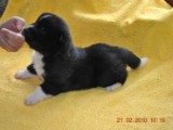 2009_10_05 145.jpg