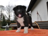 2010_03_21 284.jpg