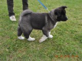 2010_04_04 232.jpg