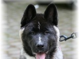 wildpark1.jpg