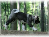 wildpark6.jpg