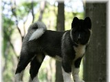 wildpark7.jpg