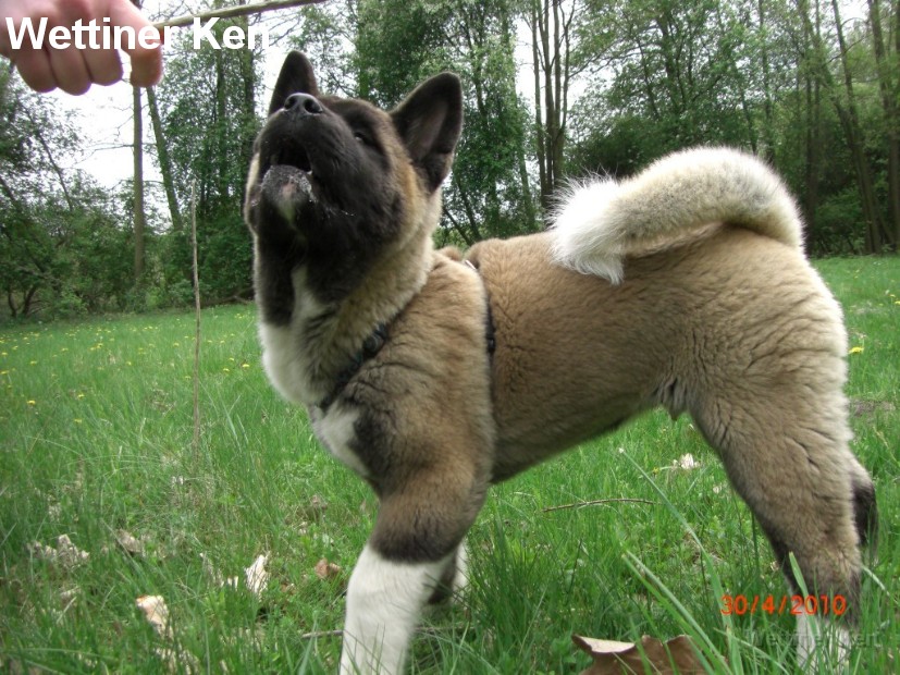 2010_05_14_Artarius 001