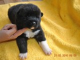 2009_10_05 004.jpg