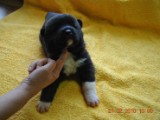 2009_10_05 006.jpg