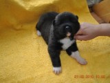 2009_10_05 019.jpg
