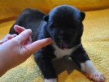 2009_10_05 092.jpg