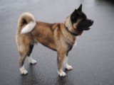 2011_03_27 048.jpg