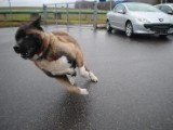 2011_03_27 077.jpg