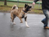 2011_03_27 105.jpg