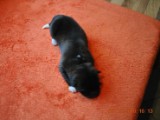 DSC_0010.JPG