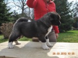 2010_03_28 172.jpg